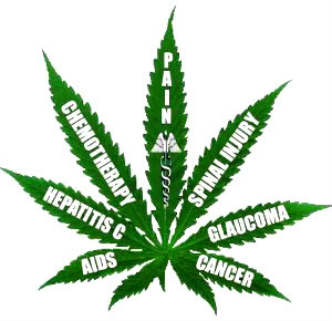 Medical Marijuana Health Benefits 
