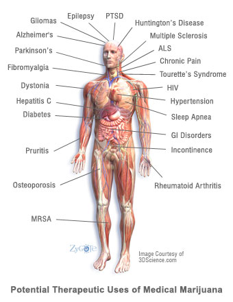 Research Medical Marijuana